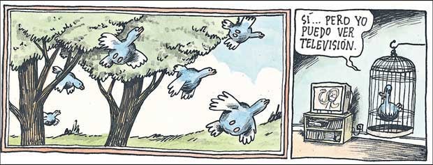 Pájaros volando y otro enjaulado